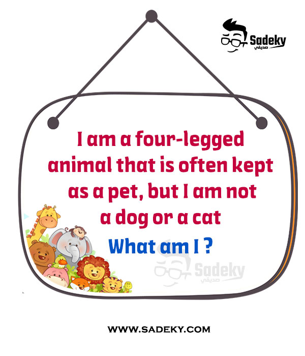 animal riddles with answers for adults
