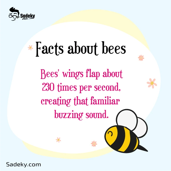 Facts About Bees