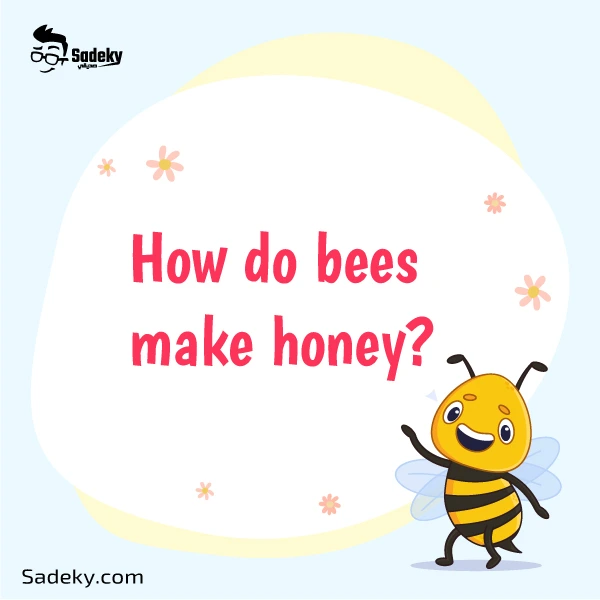 Bumblebee Quiz with answer