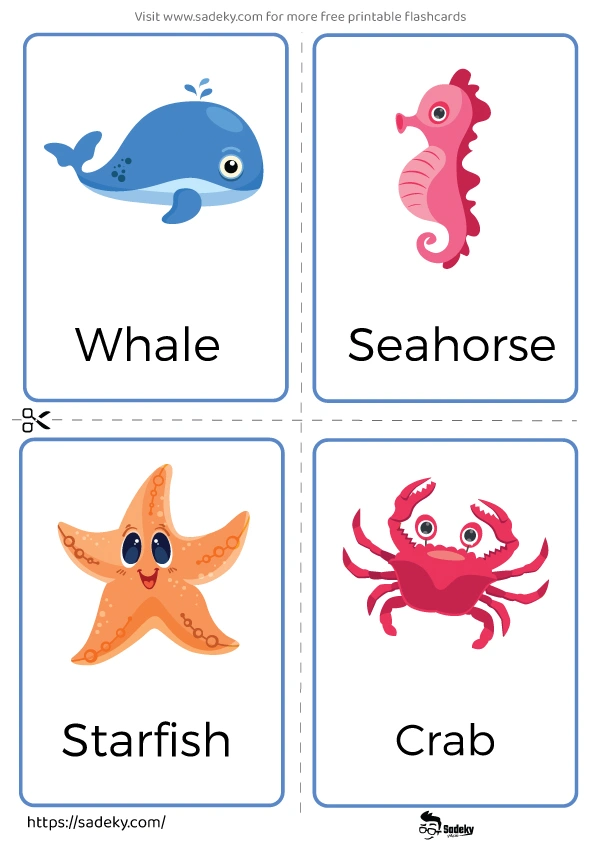 Flashcards sea animals