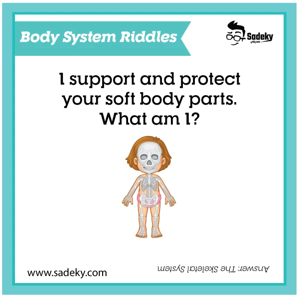 science riddle about body system 