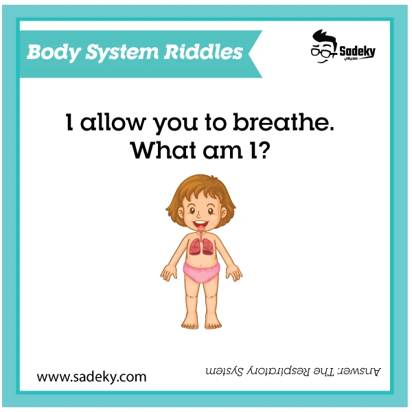 Simple body system riddles 