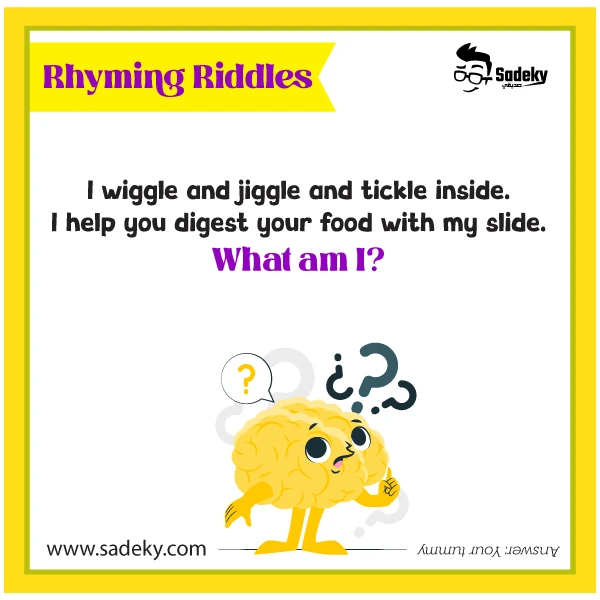 Fun Rhyming Riddle For Kids 