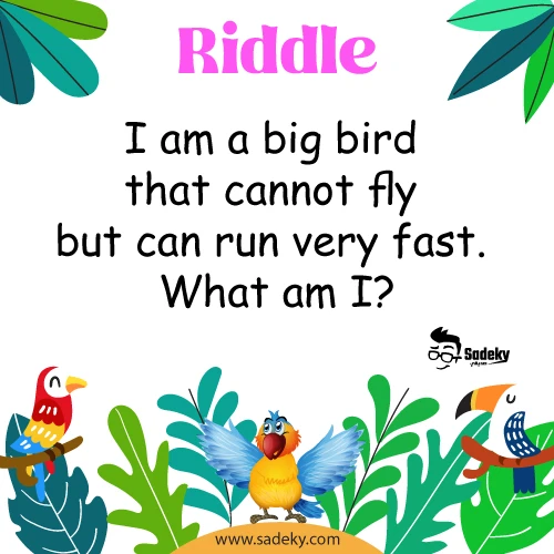 riddles on animals with answers
