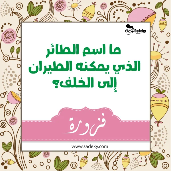 أسئلة عامة مسابقات 
