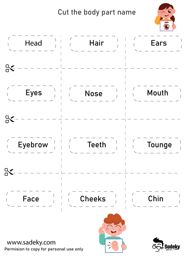 printable parts of the body flash cards