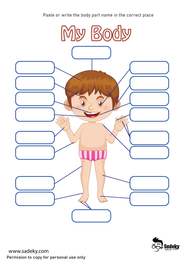 parts of the body cards pdf