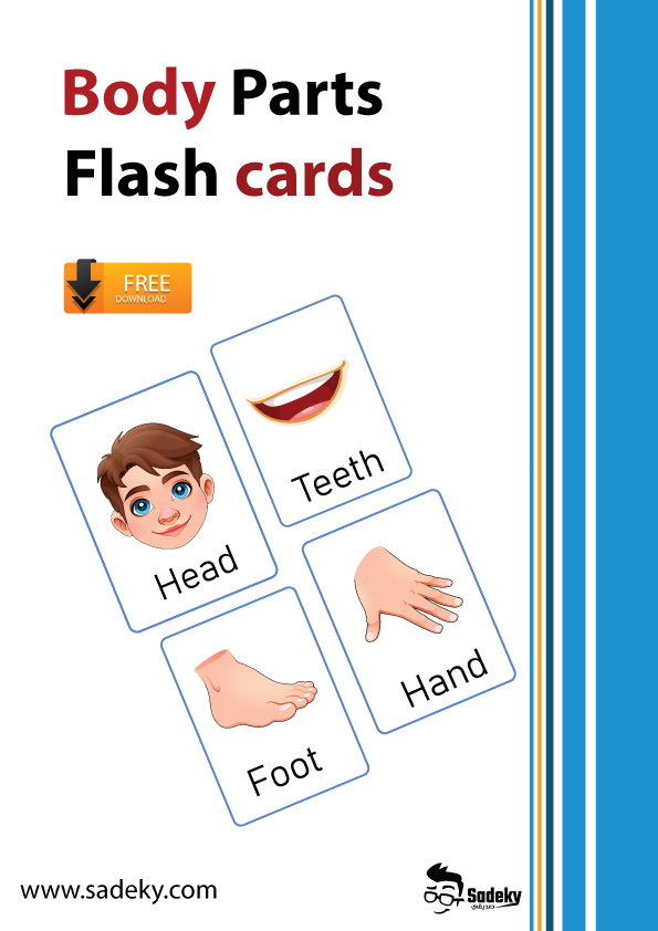 body parts flash cards pdf بطاقات اجزاء جسم الانسان للاطفال 
