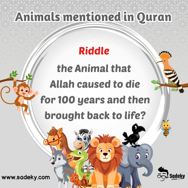 what animals are mentioned in the quran