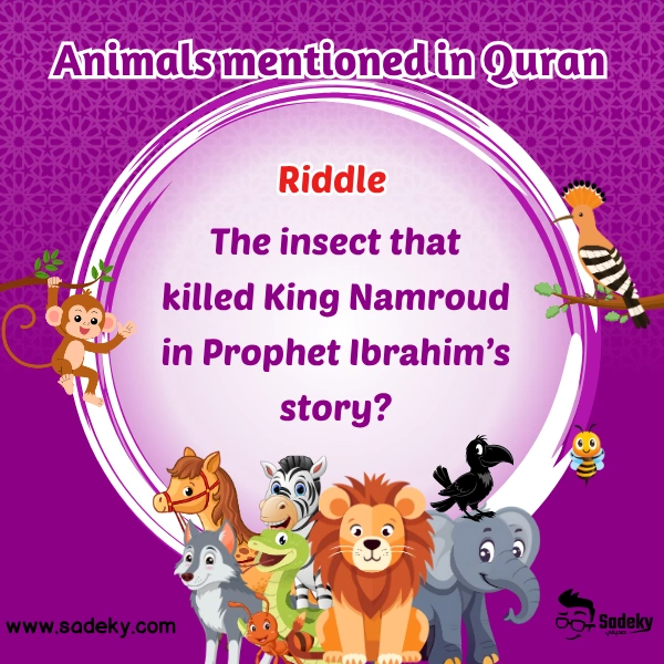 animals that are mentioned in the quran