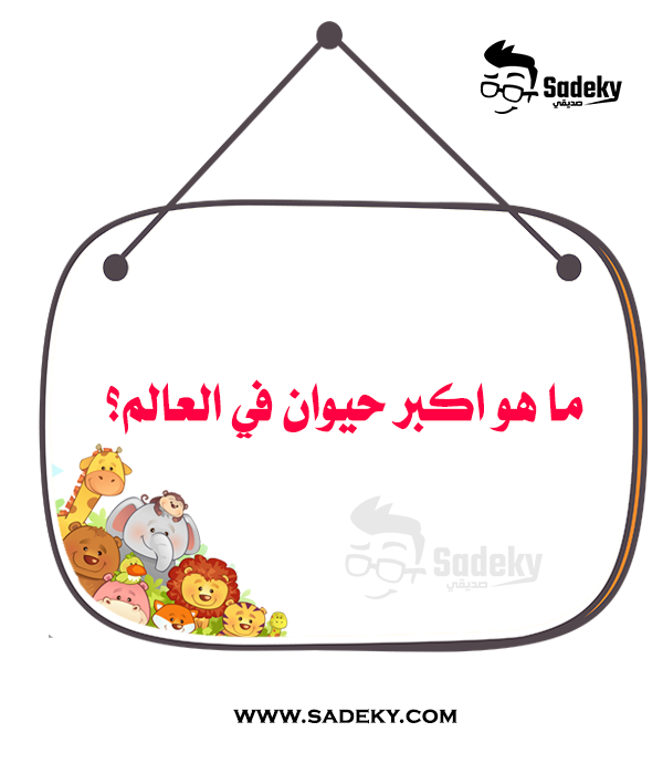 الغاز بالصور 2022 - ما هو اكبر حيوان في العالم