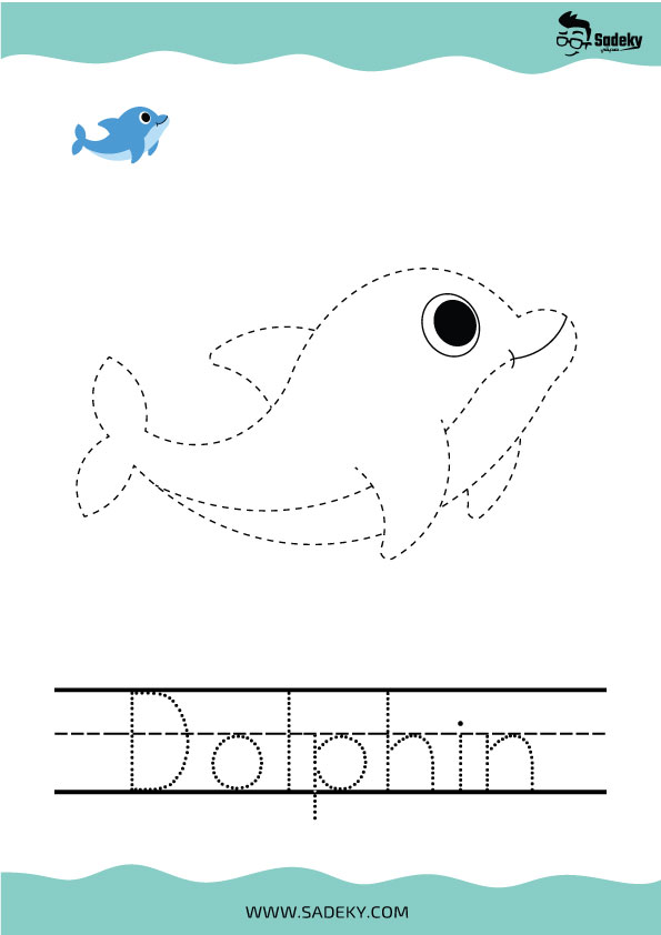 dolphin tracing pictures