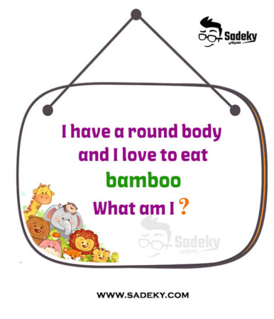 Easy Animal Riddles For Kindergarten With Answers | Who Am I? | Sadeky