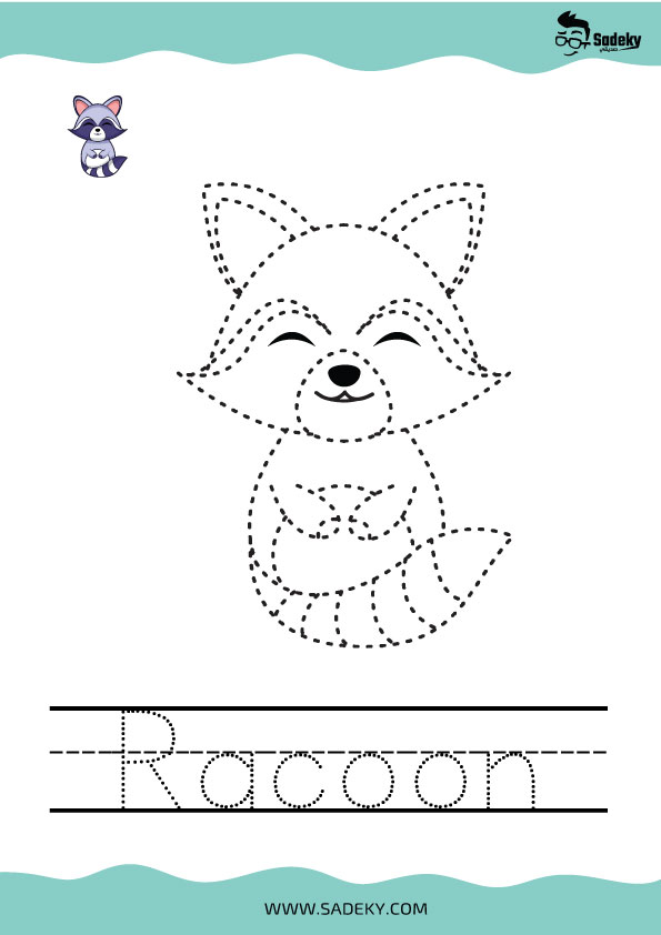 Cute raccoon drawing easy trace and color 
