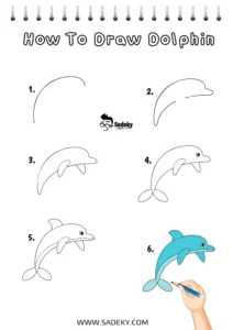Cute animal drawings easy - Dolphin