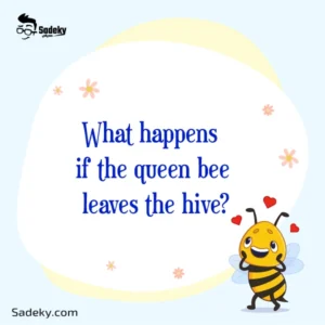 Bees questions and answers