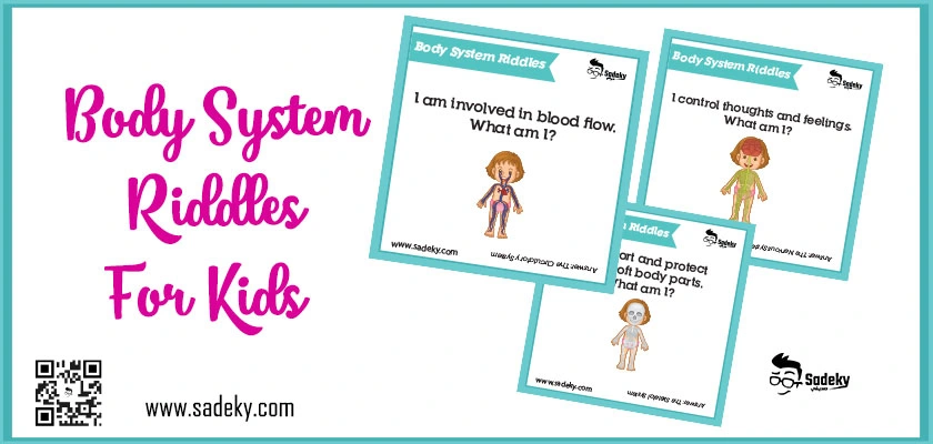 Body System Riddles For Kids